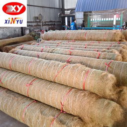 昆明绿化生态毯 快速生态修复的创新工具