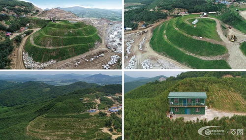 绿色风暴席卷全国，蛟河谱写石材产业生态修复新篇章