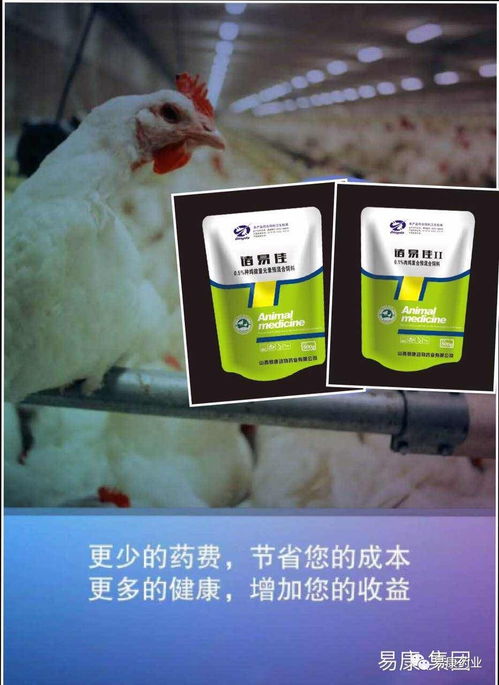 诸易佳 肠用肠好，全肠无忧，开启生态修复新篇章
