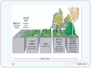 风景园林与生态恢复的误区探析 从“美化”到“疗愈”的反思